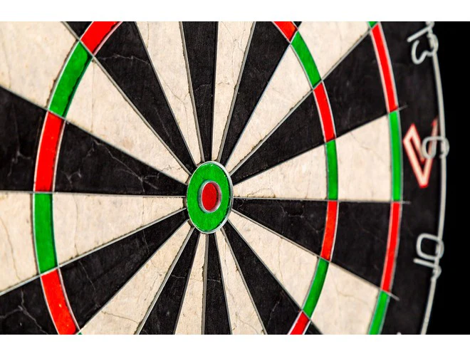 Vector E15 Dartboard - Image 3