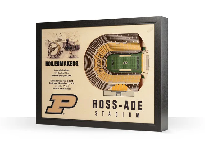 You The Fan! NCAA Stadium View 25-Layer 3D Wall Art - Image 27